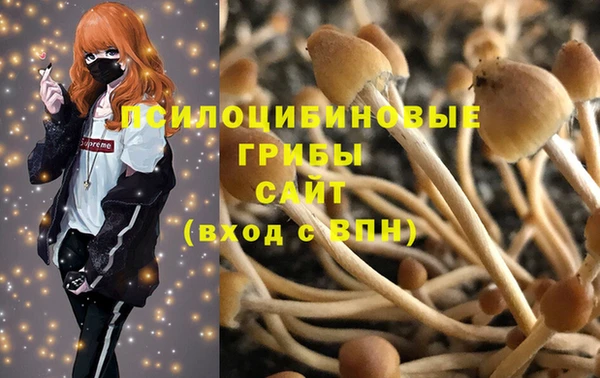 Альфа ПВП Алексеевка
