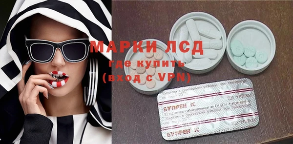 прущий лед Алзамай