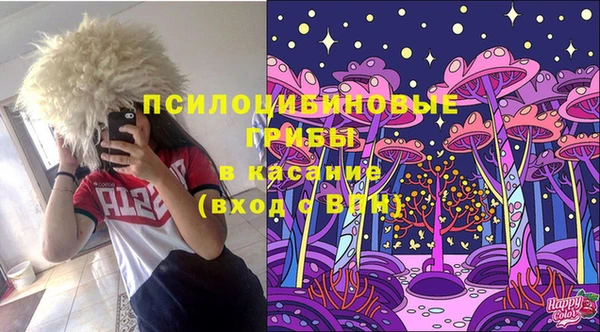 прущий лед Алзамай