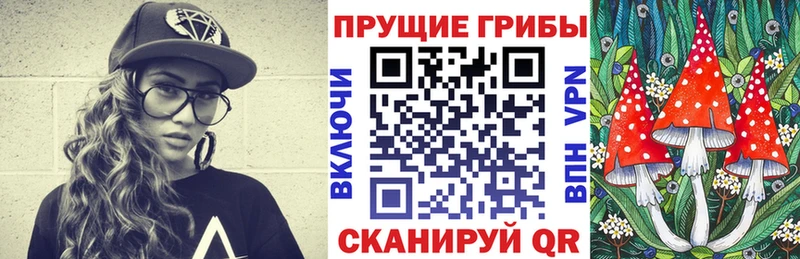 Галлюциногенные грибы мицелий  hydra ТОР  Ардатов  хочу  